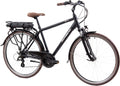 F.lli Schiano, Elektrofahrräder, 28 Zoll, 10.4Ah, 250W, 36V, E-Ride, E Bike Trekking, Abnehmbarer Akku, Motor 40Nm